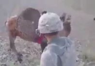   جندي أميركي يقترب من راعي افغاني.. شاهد ماذا حدث؟ 